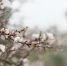 Какая погода ожидается в Сахалинской области 9 мая - CitySakh.Ru