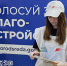 Волонтеры помогают проголосовать за объекты благоустройства - Газета Лукояновская правда