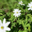 article23010.jpg - 59i.Ru