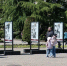 i - 2026-05-08T081616.879 - SochiNews.io