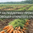 Объявление о проведении отбора получателей субсидии на поддержание приоритетных направлений агропромышленного комплекса (стимулирование увеличения производства картофеля и овощей (поддержка производства овощей открытого грунта)) - Тюльганский район