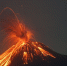 Фото: Aris Yanto/Shutterstock/Fotodom - Ямал-Медиа