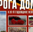"Дорога домой": как поисковики из Ржева помогли встретиться потомкам летчиков - ТИА