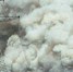 Мощный пожар в Чернобыле - 24Krasnodar.Ru