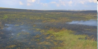 В Хворостянском районе горели трава и легковой автомобиль - НИА Самара