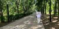Голоса "силовиков" убедили бухгалтера из Нижнего Новгорода избавиться от 2,8 миллиона рублей - ProGorodNN.Ru