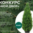 Астраханцы могут выиграть деревья для благоустройства дворов - Астрахань 24