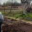 Голландцы давно не горбатятся с лопатой, а мы все мучаемся: почему российские дачники до сих пор не знают этот метод - Pg12.Ru