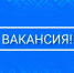 Требуется главный юрисконсульт  в  отдел по правовому обеспечению и имущественным отношениям администрации - Иглинский район