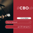 Пять программ #СВОё: музыка, кино, литература, музеи и творчество - ДВГИИ