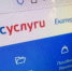 За какими грибами придется идти в лес с пропуском на "Госуслугах" - 2Goroda.Ru