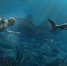 В ремейке Assassin's Creed Black Flag можно будет дышать под водой и не бояться акул - Кубанские Новости