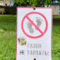 620 миллионов на среду, а не на парки:  в Крыму благоустройство теперь выбирают жители, а не чиновники - RuInformer.Com