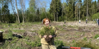 Память о подвиге — в каждом посаженном дереве - Рослесозащита Смоленской области