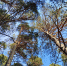 image - GazetaRB.Ru