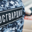 Более 90 административных правонарушений пресекли росгвардейцы в Калужской области за неделю - Росгвардия