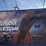 Баннер ко Дню Победы с орангутаном возмутил новосибирцев - Gorsite.Ru