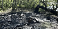 За сутки в двух лесничествах Самарской области произошли пожары - Волга Ньюс