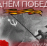 «Парад Победы на большом экране»: «Единой России» в регионе проведет патриотическую акцию - ВестиПК в Воронеже
