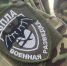 На Госуслугах запущен сервис для подтверждения статуса участника СВО - SeverPost.ru