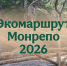 "Парк Монрепо" открыл экомаршрут - 47Channel.Ru