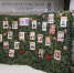 «Стена памяти»: живая связь с поколением победителей! - Управление культуры