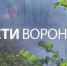Сухая трава загорелась возле железной дороги в Воронеже - ГТРК Воронеж