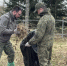 Сотрудники СК благоустроили воинское захоронение в Псковском районе - Pln-Pskov.Ru