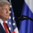 Трамп заявил о трехдневном перемирии между Россией и Украиной. Путин - о теракте в Ростове-на-Дону - 47 новостей