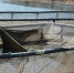 riuo3up0s9otxws4sbdsuhtqlqs8d59j.jpg - Primorye24.Ru
