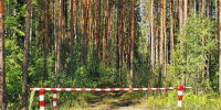 В Приангарье ограничили посещение лесов при IV и V классах пожарной опасности - Baikal24.Ru