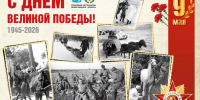 Поздравляем с Днём Победы! - Управление ветеринарии