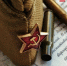 Поздравление Главы Копейского городского округа Светланы Логановой с Днем Победы советского народа в Великой Отечественной войне - Администрация г. Копейска