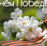 09.05.2026 | Поздравление Министра природных ресурсов и экологии Тверской области с Днем Победы - Главное управление по архивному делу