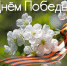 09.05.2026 | Поздравление Министра природных ресурсов и экологии Тверской области с Днем Победы - Министерство природных ресурсов и экологии
