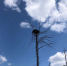 RSP3x175L4tG9Jazd9Jdpm57SiLmgKy4d2vFP-zWgyHwFWpFL3zq-ib2ESmzQ3kTyd-BjxXK8YtLHGPWMhmjc3bi.jpg - Местное время