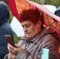 Бесплатный Wi-Fi для жителей Вологды продолжает работать - OnlineVologda.Ru
