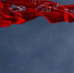 Над Белгородом подняли Знамя Победы - БелПресса