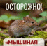 Профилактика геморрагической лихорадки с почечным синдромом - Министерство здравоохранения РБ