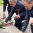 В Кингисеппе возложили цветы к стеле воинской доблести — торжества идут по всей Ленобласти - Neva.Today