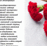 Комитет поздравляет жителей Ленинградской области - Госстройнадзор