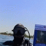 Дайверы провели «Бессмертный полк» под водой в Новороссийске - Газета Краснодарские известия