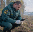 В Нижегородской области с 10 по 12 мая ожидается высокая пожароопасность лесов - ProDzer.Ru