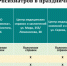 Стало известно, как будет работать СККПСБ №1 в праздники — 9 и 11 мая 2026 года - Психиатрическая больница №1