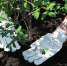 s24nz72d51bhs59b8t20ixou6y3ijxvd.jpg - Primorye24.Ru