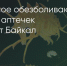 Поделитья во ВКонтакте - Братская Студия Телевидения