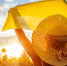 378 - News102.Ru