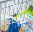 8ec4hsp44ribq3p3jjjy4lix3qrnuaw9.jpg - Primorye24.Ru