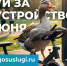 ЖКХ - Riac34.Ru