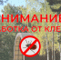 Акарицидная обработка парка Новой культуры - Администрация г. Первоуральск